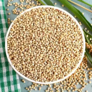 Sorghum Millet (white Jowar)