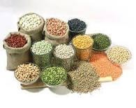 Cereals & Pulses