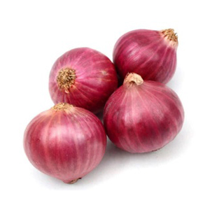 Onion